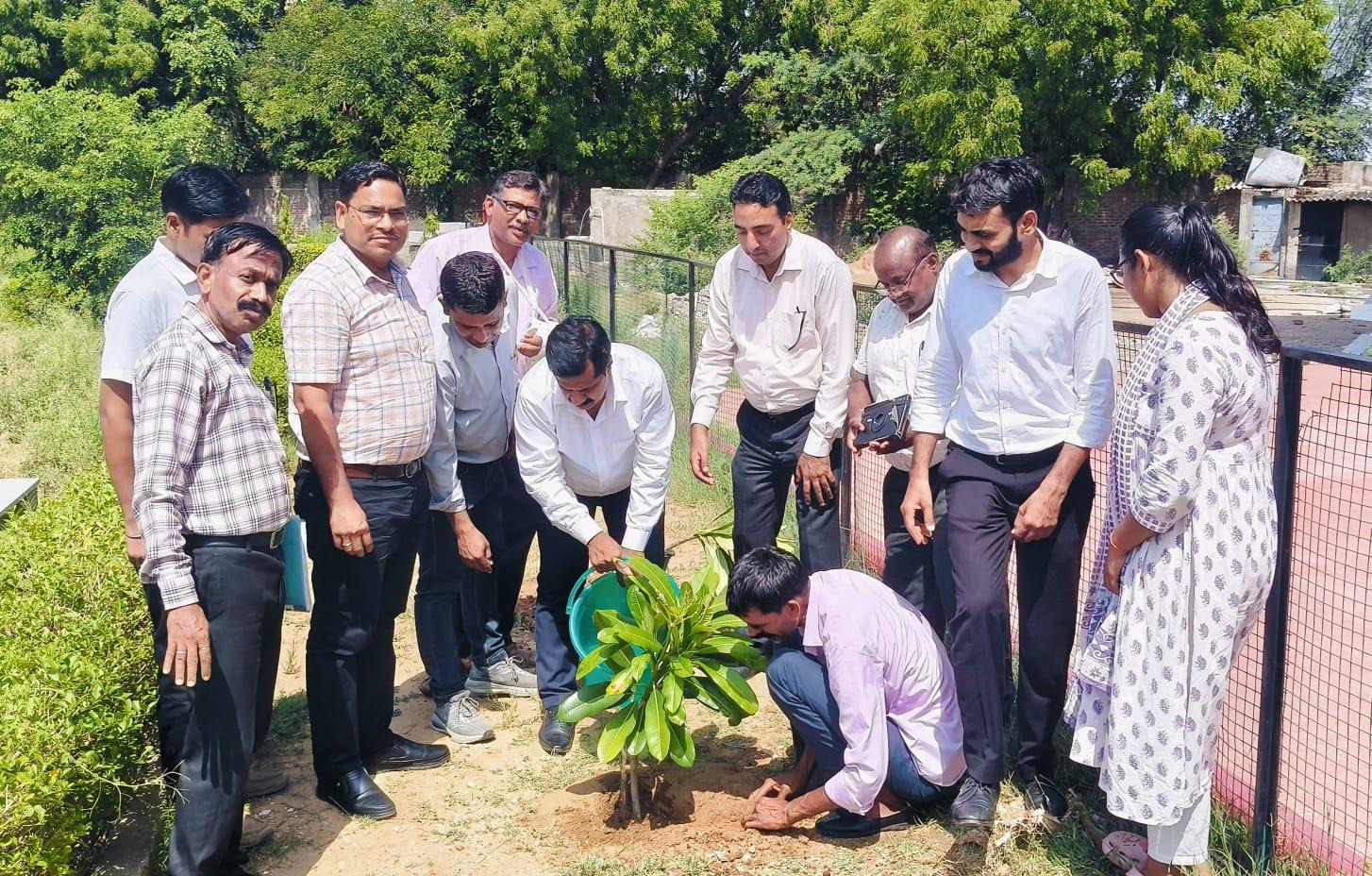 विश्व पर्यावरण दिवस पर रीजनल कॉलेज फॉर एजुकेशन रिसर्च एंड टेक्नोलॉजी (RCERT), सीतापुरा, जयपुर में हुआ वृक्षारोपण, विद्यार्थियों ने लिया हरित भविष्य का संकल्प