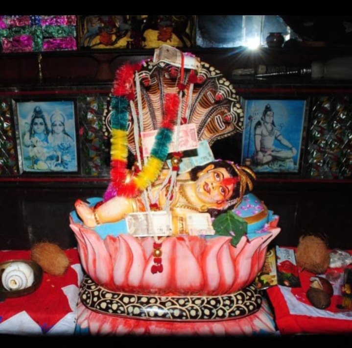 मालासेरी डूंगरी में उमड़ेगा आस्था का सैलाब: भगवान श्री देवनारायण का 1114वाँ जन्मोत्सव और विष्णु महायज्ञ कल से शुरू