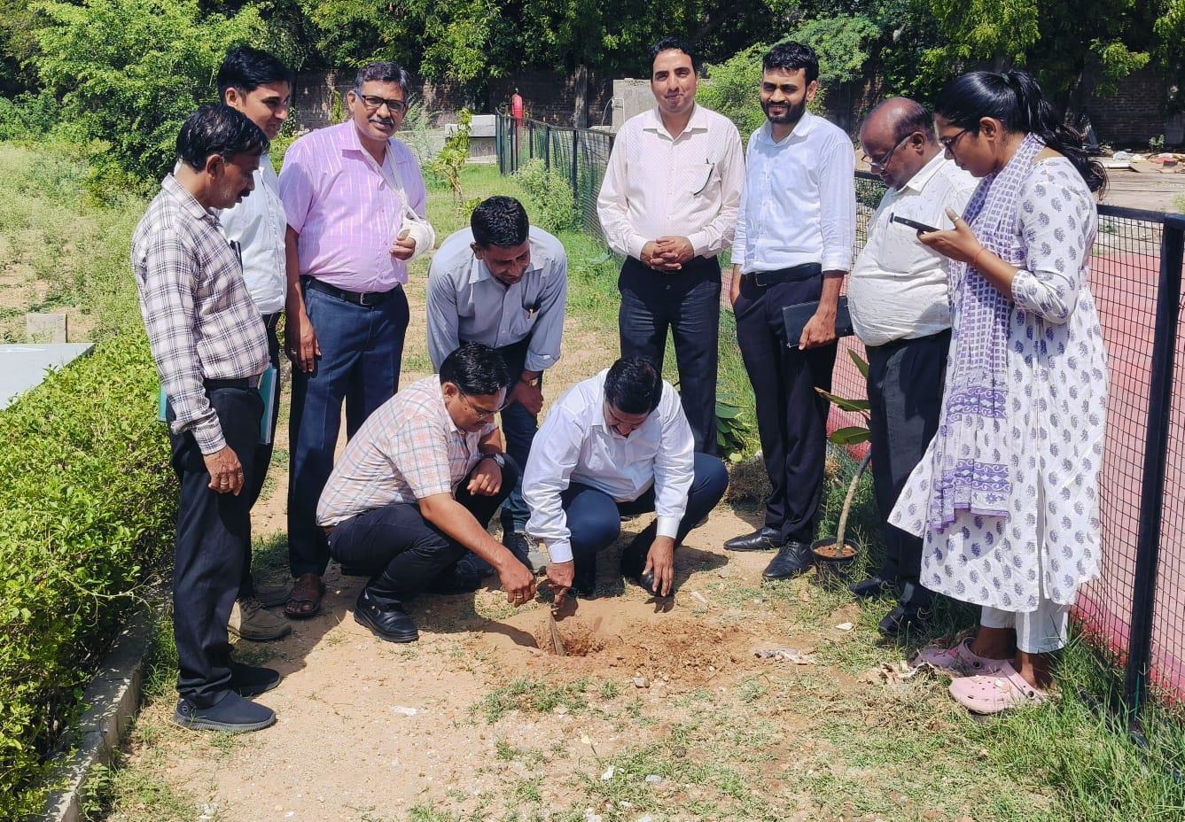 विश्व पर्यावरण दिवस पर रीजनल कॉलेज फॉर एजुकेशन रिसर्च एंड टेक्नोलॉजी (RCERT), सीतापुरा, जयपुर में हुआ वृक्षारोपण, विद्यार्थियों ने लिया हरित भविष्य का संकल्प