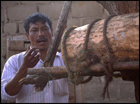 राष्ट्रीय मधुमक्खी पालन और शहद उत्पादन मिशन, मीठी क्रांति का आगमन: बेहतर भारत का संकेत