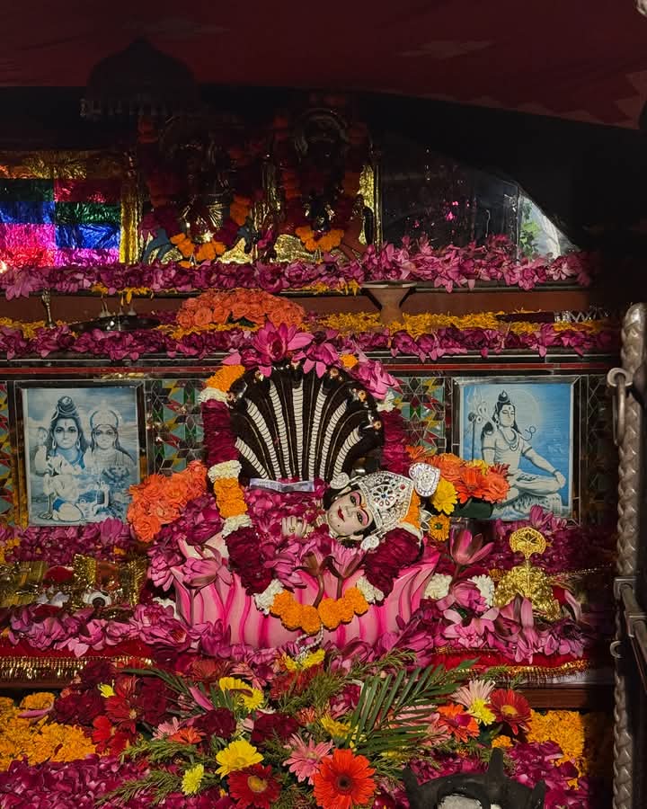 मालासेरी डूंगरी में उमड़ेगा आस्था का सैलाब: भगवान श्री देवनारायण का 1114वाँ जन्मोत्सव और विष्णु महायज्ञ कल से शुरू