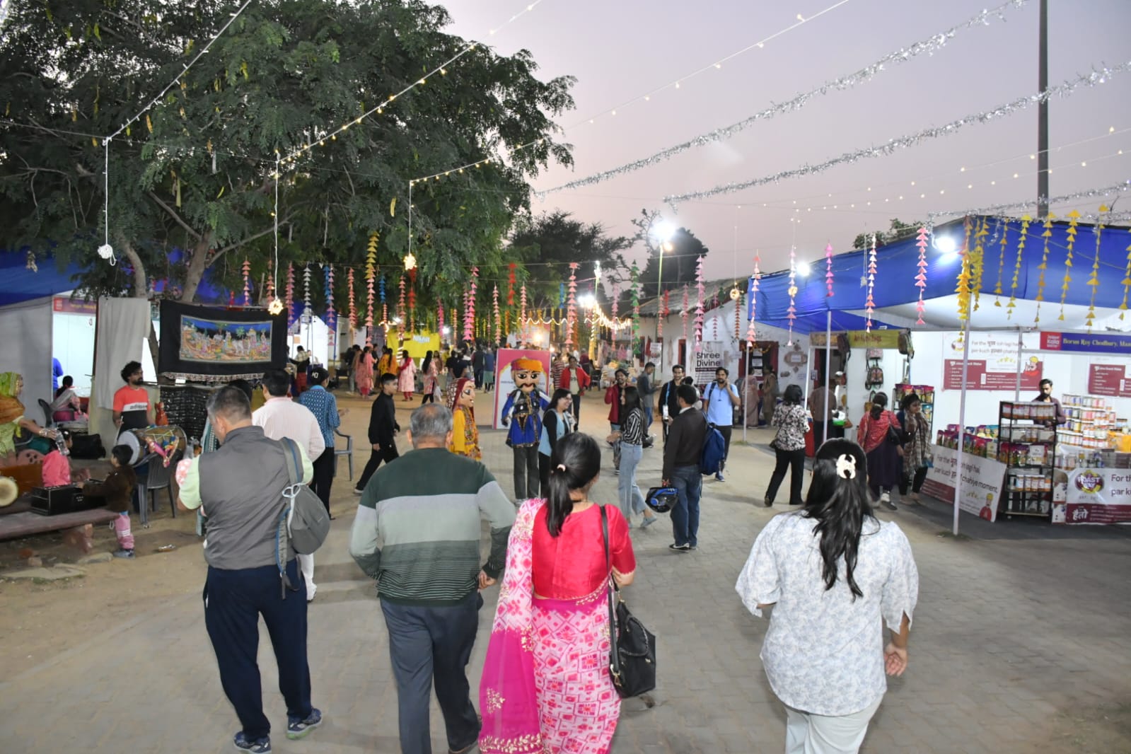 हर्बल इनोवेशन से लेकर मिलेट मिशन तक, परंपरा और विज्ञान का अद्भुत मेल