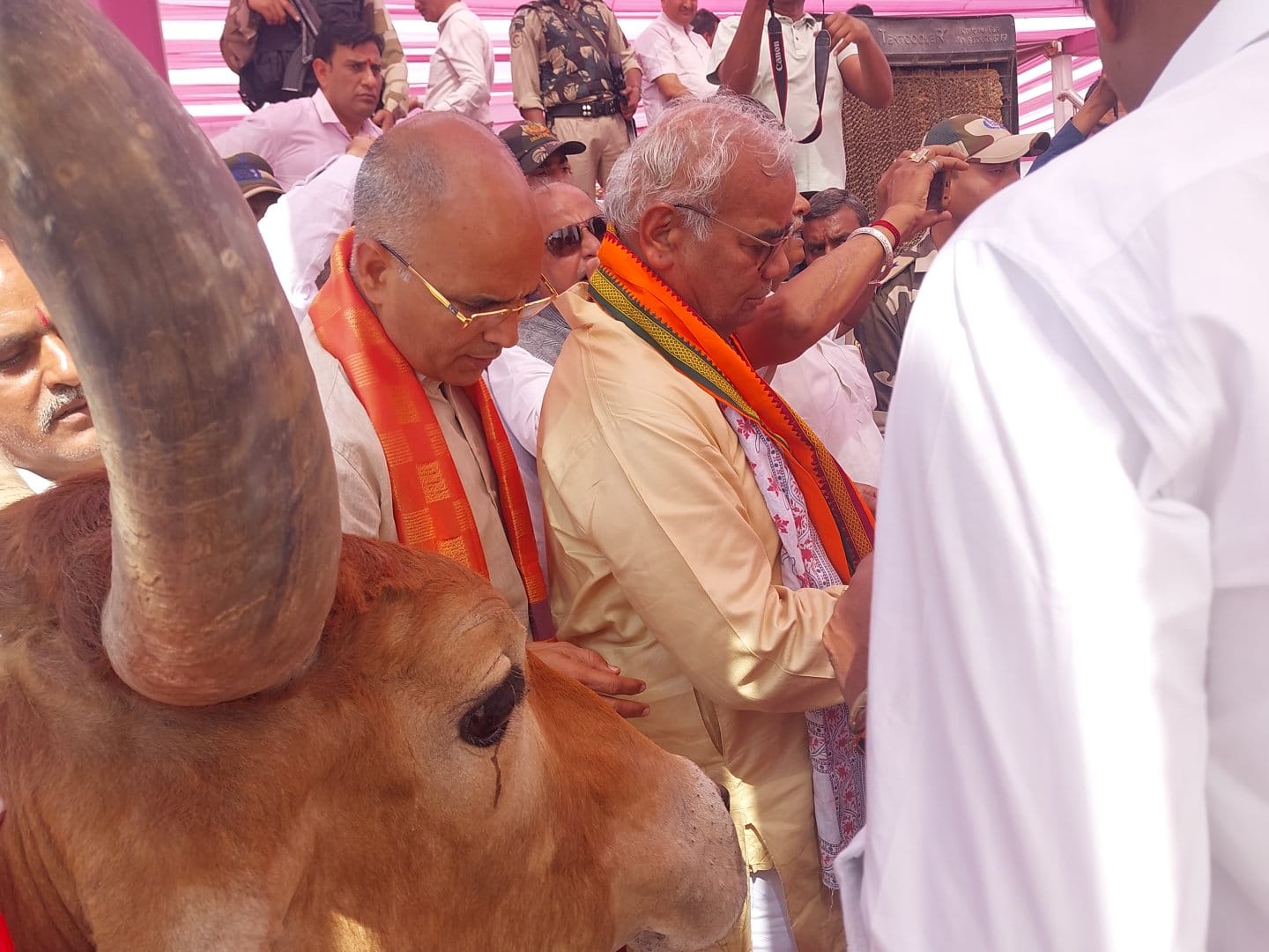 भामाशाह सुनील खेतपाल्या की तरफ से कार्यक्रम में 500 गौशालाओं को ₹200000 प्रति गौशाला के हिसाब से आर्थिक सहयोग राशि प्रदान की जा रही है!   कार्यक्रम में शिक्षा एवं पंचायती राज मंत्री मदन दिलावर गौशाला संचालकों को भेट कर रहे हैं सहयोग राशि का चेक