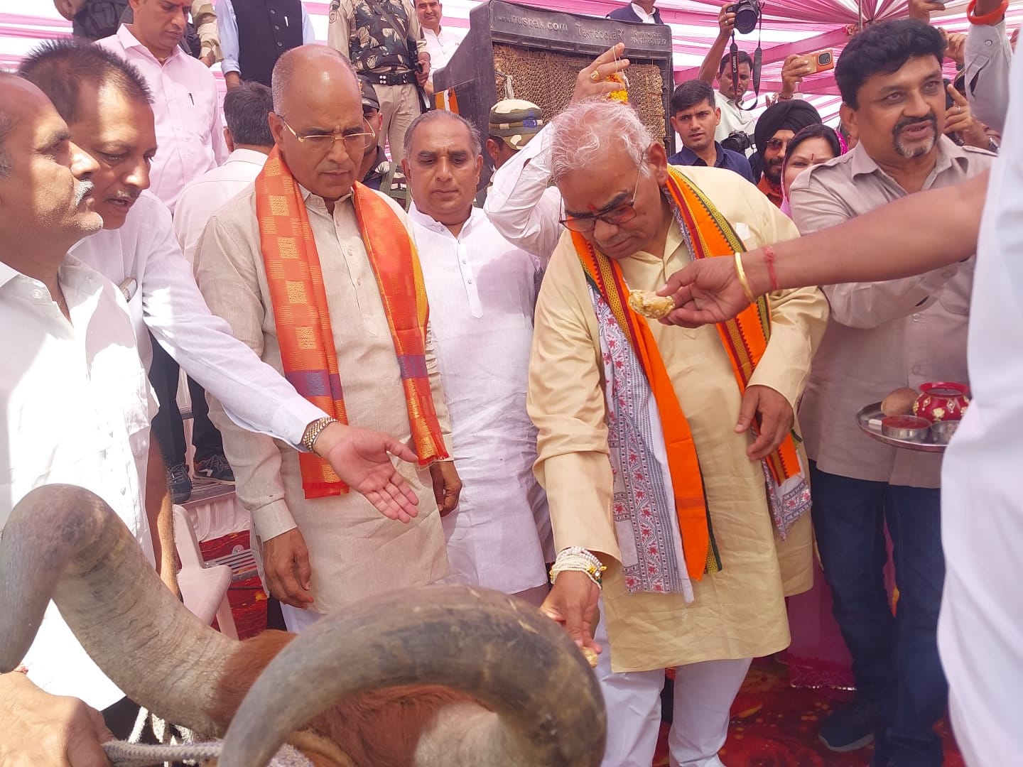 भामाशाह सुनील खेतपाल्या की तरफ से कार्यक्रम में 500 गौशालाओं को ₹200000 प्रति गौशाला के हिसाब से आर्थिक सहयोग राशि प्रदान की जा रही है!   कार्यक्रम में शिक्षा एवं पंचायती राज मंत्री मदन दिलावर गौशाला संचालकों को भेट कर रहे हैं सहयोग राशि का चेक