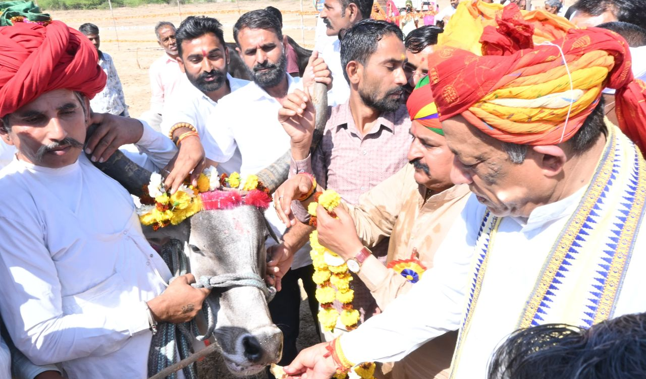 राज्य सरकार पशुपालकों के हितों के लिए कृत संकल्पित - पशुपालन मंत्री जोराराम कुमावत