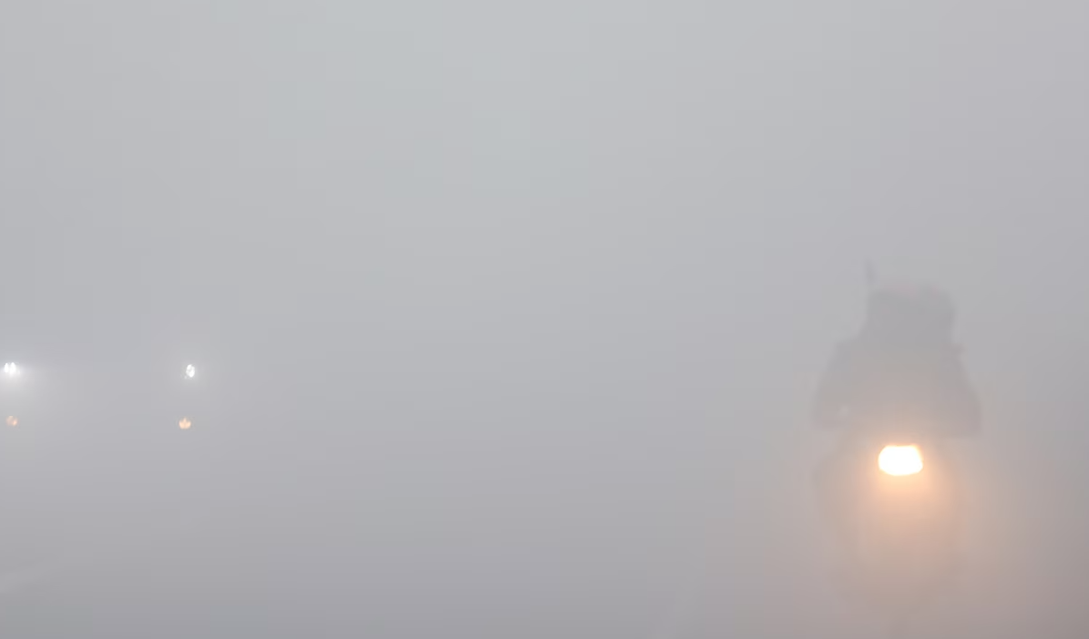 Schools in Noida and Greater Noida to Remain Closed Till January 15 as Cold Wave, Dense Fog Persist