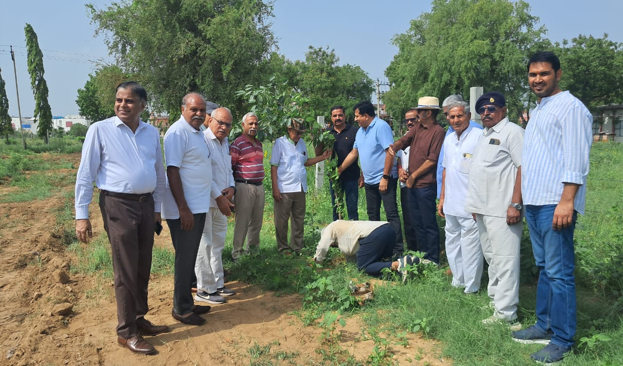 श्री भवानी निकेतन परिसर में किया गया फलदार व छायादार पौधों का रोपण