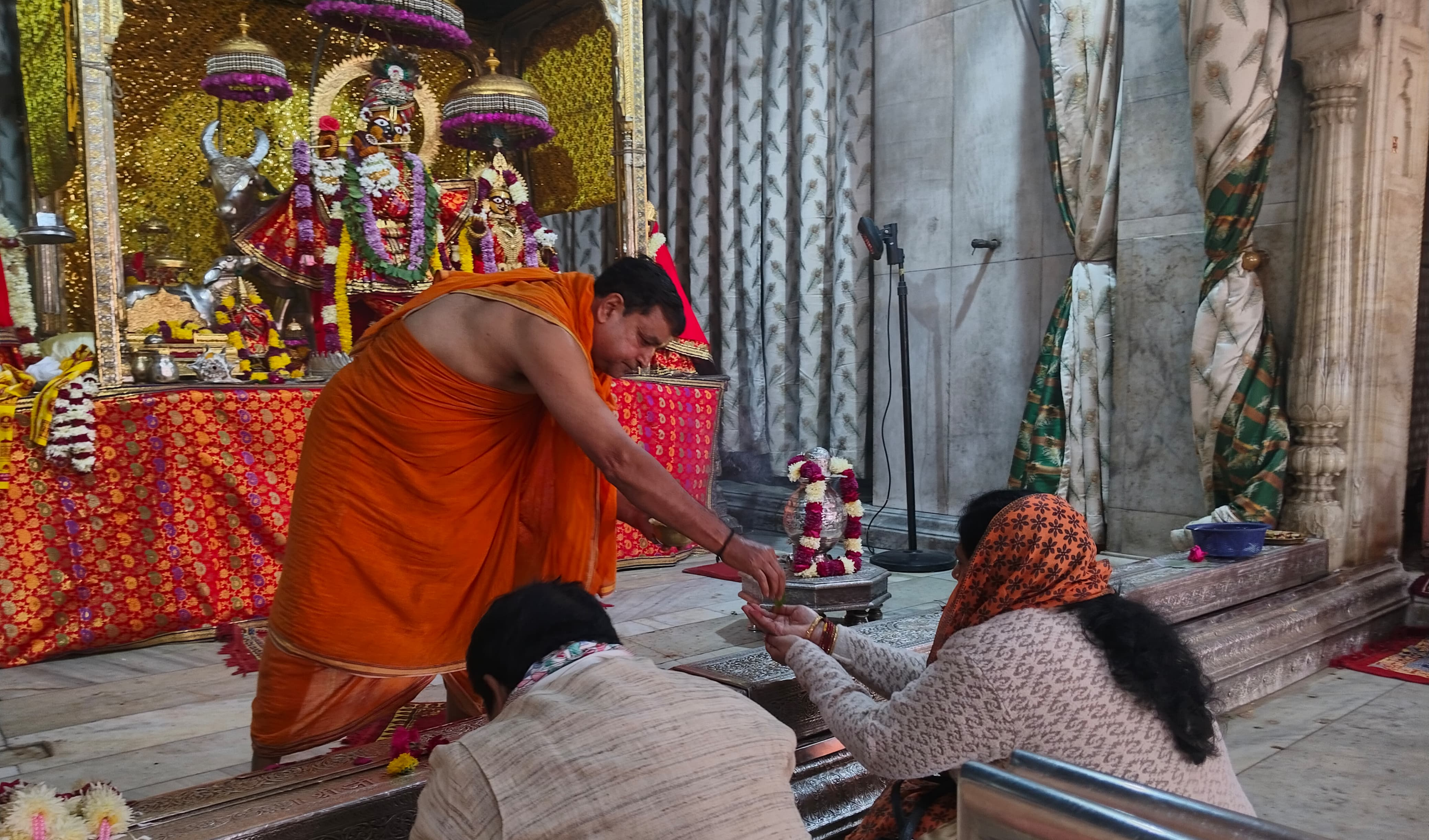 जगद्गुरु रामानंदाचार्य राजस्थान संस्कृत विश्वविद्यालय, जयपुर नवनियुक्त कुलपति प्रो. मदन मोहन झा ने संभाला कार्यभार