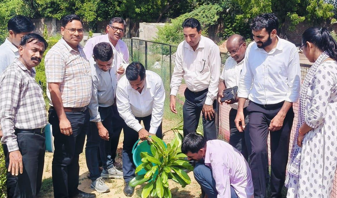 विश्व पर्यावरण दिवस पर रीजनल कॉलेज फॉर एजुकेशन रिसर्च एंड टेक्नोलॉजी (RCERT), सीतापुरा, जयपुर में हुआ वृक्षारोपण, विद्यार्थियों ने लिया हरित भविष्य का संकल्प