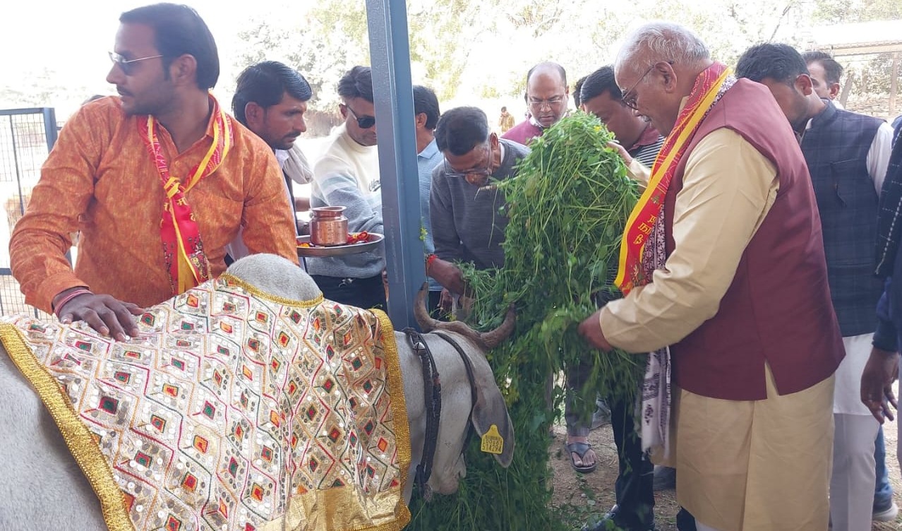 शिक्षा एवं पंचायती राज मंत्री मदन दिलावर ने गौ माता को खिलाया चार, मकर संक्रांति पर की गौ माता की पूजा