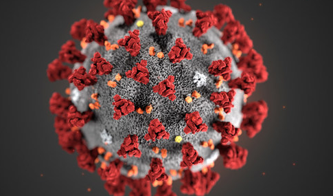 NCDC Explores Use of Social Media Trends to Strengthen Disease Surveillance