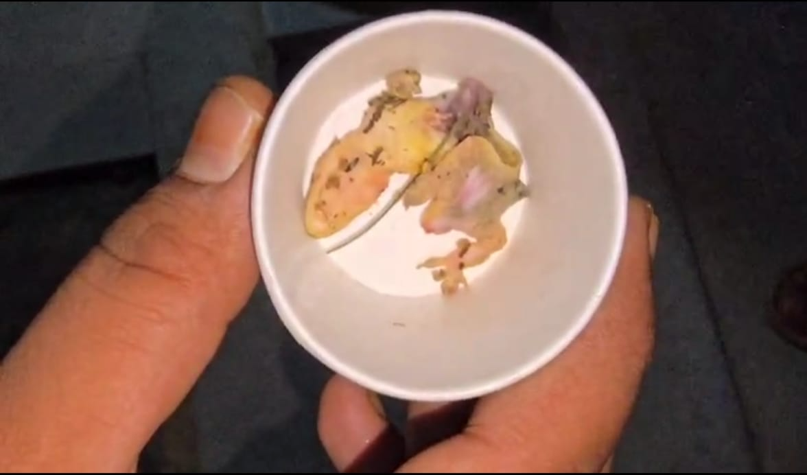 राजस्थान संस्कृत विश्वविद्यालय में छात्रावास के भोजन में निकली छिपकली, दो छात्र अस्पताल में भर्ती