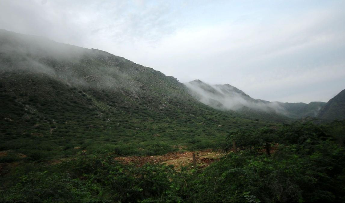 अरावली पर सुप्रीम कोर्ट के मानदंड पर फिर उठा सवाल, मुख्य न्यायाधीश को पत्र