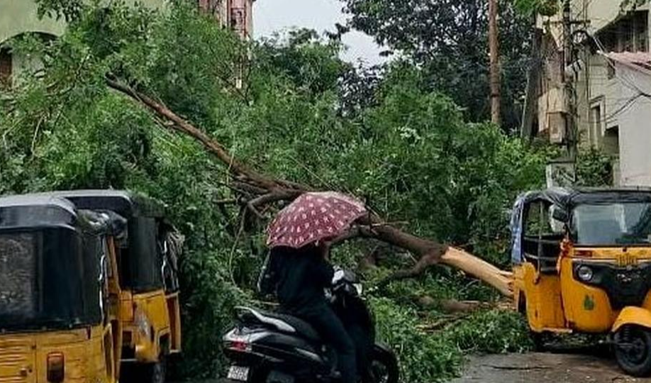 Cyclone Arnab Intensifies: IMD Forecasts Winds Up to 150 kmph, Landfall Near Yanam; Train Services Disrupted