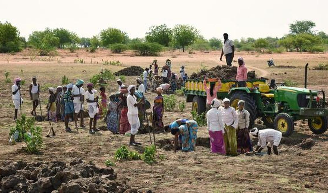 Global Experts Urge Indian Government to Protect MGNREGA in Open Letter